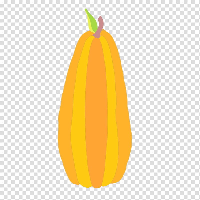 Orange, Yellow, Plant, Fruit, Vegetable, Squash, Calabaza, Cucurbita transparent background PNG clipart