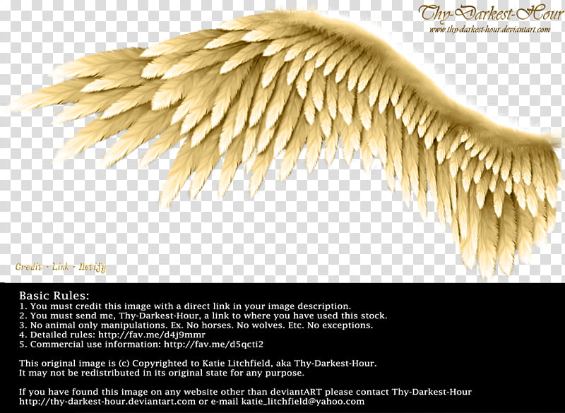 Winged Perfection Golden, brown wing transparent background PNG clipart