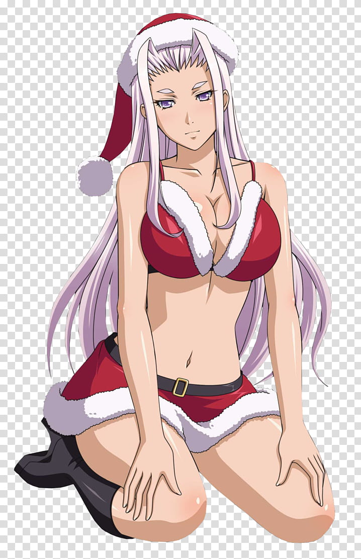 Ikkitousen Himiko Xmas Render transparent background PNG clipart