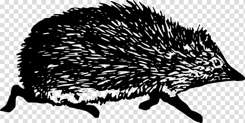 Hedgehog Echidna, Domesticated Hedgehog, Architecture, Printmaking, Minimalism, Animal, Artist, Porcupine transparent background PNG clipart
