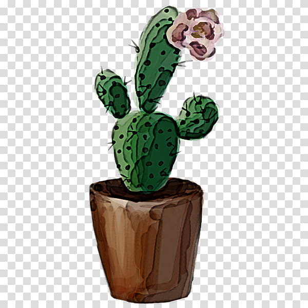 Cactus, Green, Flowerpot, Plant, Succulent Plant, Caryophyllales, Houseplant, Prickly Pear transparent background PNG clipart