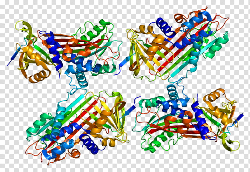 S100a9 Text, S100 Protein, Protein C Inhibitor, Calgranulin, S100a8, Calprotectin, S100b, Serpin transparent background PNG clipart