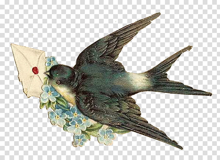 To My Dear Friends s, grey Swift bird carrying mail illustration transparent background PNG clipart