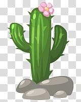 Mini , green saguaro cactus and pink daisy flower art transparent background PNG clipart