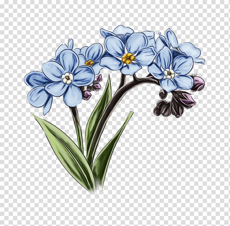 Flowers, Floral Design, Cut Flowers, Violet, Herbaceous Plant, Plants, Family, Violaceae transparent background PNG clipart