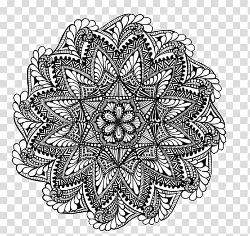 Doodles and Drawing , white and black flower illustration transparent background PNG clipart