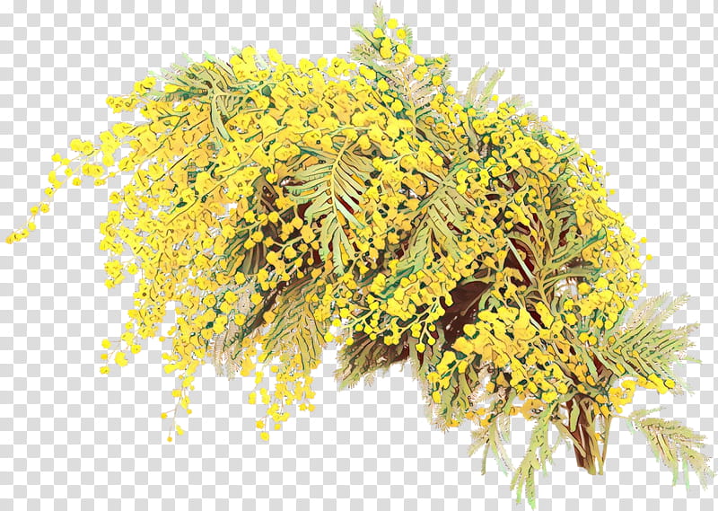 Mimosa, Cartoon, Yellow, Flower, Plant, Tree, Goldenrod transparent background PNG clipart