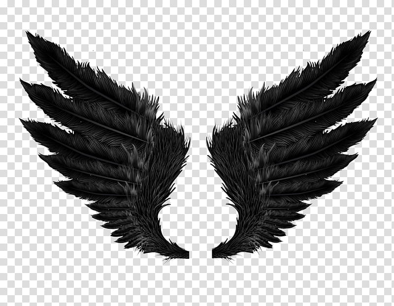 Black Wings , black wings art transparent background PNG clipart