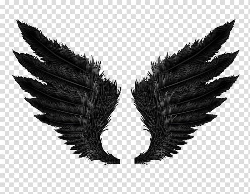 fallen angel wings drawings