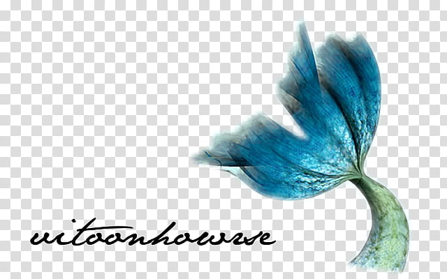 Mermaid Tail , blue and gray flower transparent background PNG clipart