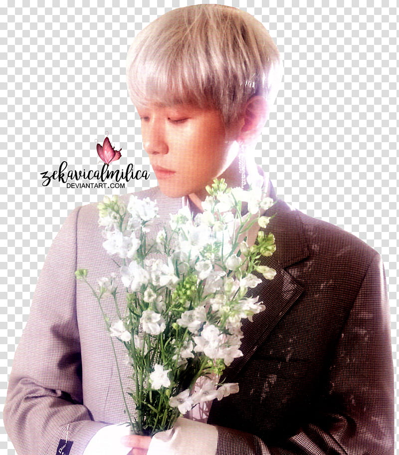 EXO CBX Baekhyun Blooming Days, EXO CBX member transparent background PNG clipart