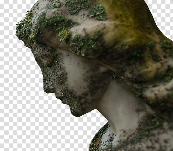 , female statue covered in moss transparent background PNG clipart