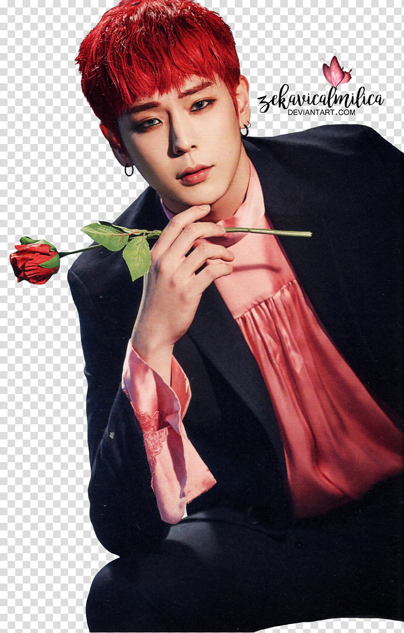 B A P Himchan Rose, K-Pop male member transparent background PNG clipart