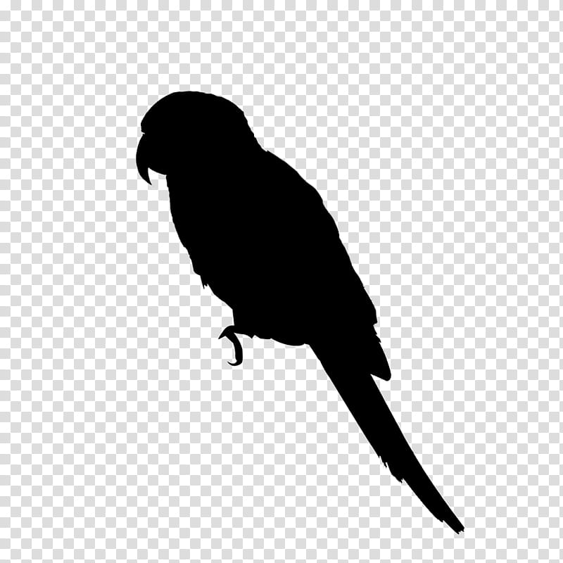 Bird Silhouette, Macaw, Budgerigar, Lovebird, Parakeet, Parrots, Pet, Macaws transparent background PNG clipart