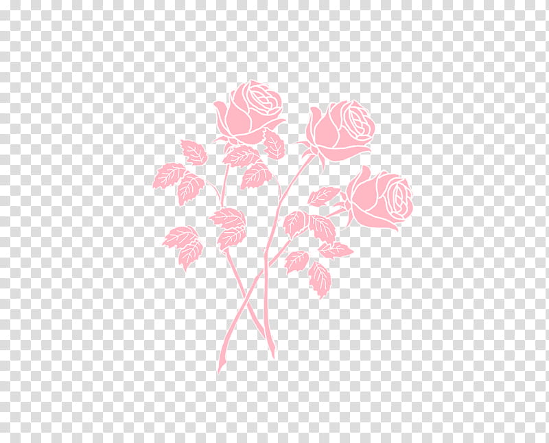 PINK AESTHETIC S, pink roses transparent background PNG clipart