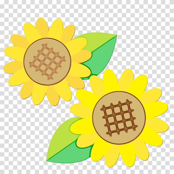 Summer Flower, Sunflower, Sunflower Seed, Leave Of Absence, Cut Flowers, Summer Vacation, Petal, Fruit transparent background PNG clipart
