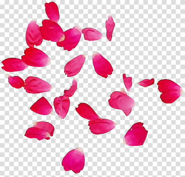 Pink Flower, Mercedesbenz, Car, Closer To You, Fairground Lights, Youre My Girl Hey Hey Hey, Perfume, If Im Not With You transparent background PNG clipart