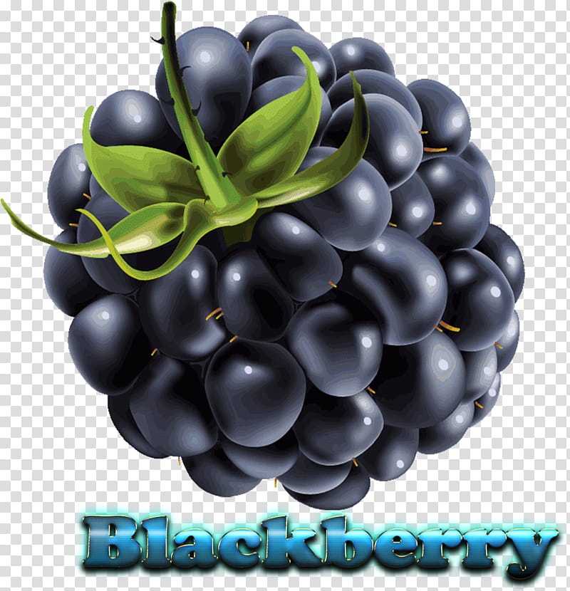 Pie, Blackberry, Berries, Raspberry, Blackberry Pie, Fruit, Boysenberry, Blueberry transparent background PNG clipart
