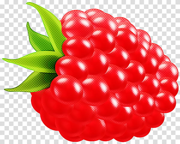 berry fruit red seedless fruit plant, Natural Foods, Accessory Fruit, Raspberry, Superfruit transparent background PNG clipart