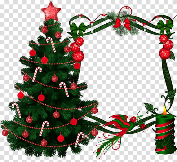 Drawing Christmas Tree, BORDERS AND FRAMES, Santa Claus, Christmas , Frames, Decorative Borders, Christmas Ornament, Easter transparent background PNG clipart