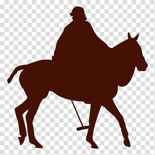 Horse, American Quarter Horse, Tennessee Walking Horse, Equestrian, Cowboy, Jinete, Camel, Arabian Camel transparent background PNG clipart