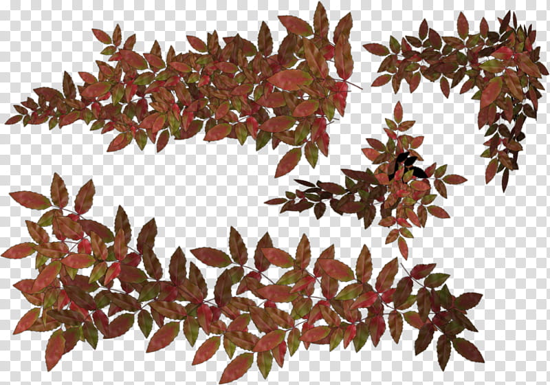 Various Flowers , red-and-green leaves illustration transparent background PNG clipart
