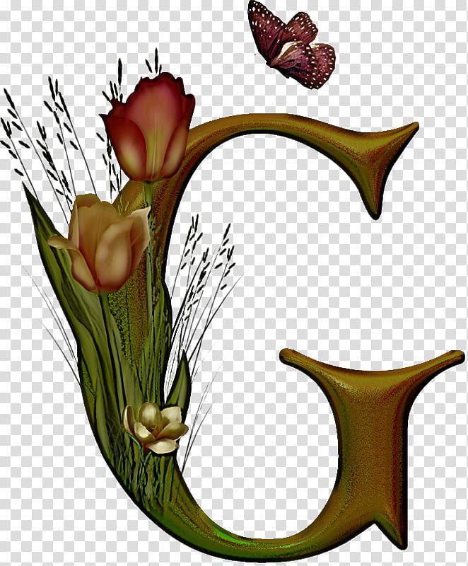 plant flower carnivorous plant nepenthes transparent background PNG clipart