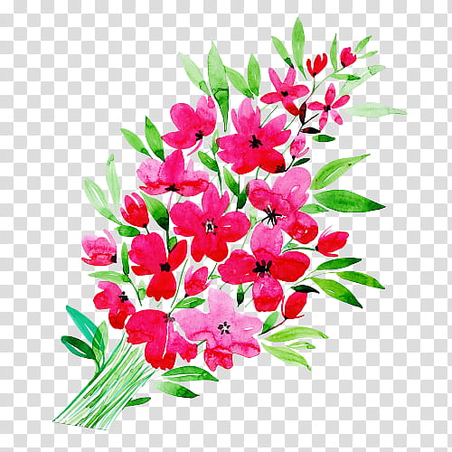 flower flowering plant plant pink cut flowers, Petal, Bouquet, Gladiolus, Branch transparent background PNG clipart