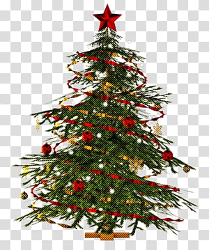 Christmas tree, Christmas Decoration, Colorado Spruce, Oregon Pine, Christmas Ornament, Holiday Ornament, Christmas 
, Shortleaf Black Spruce transparent background PNG clipart thumbnail