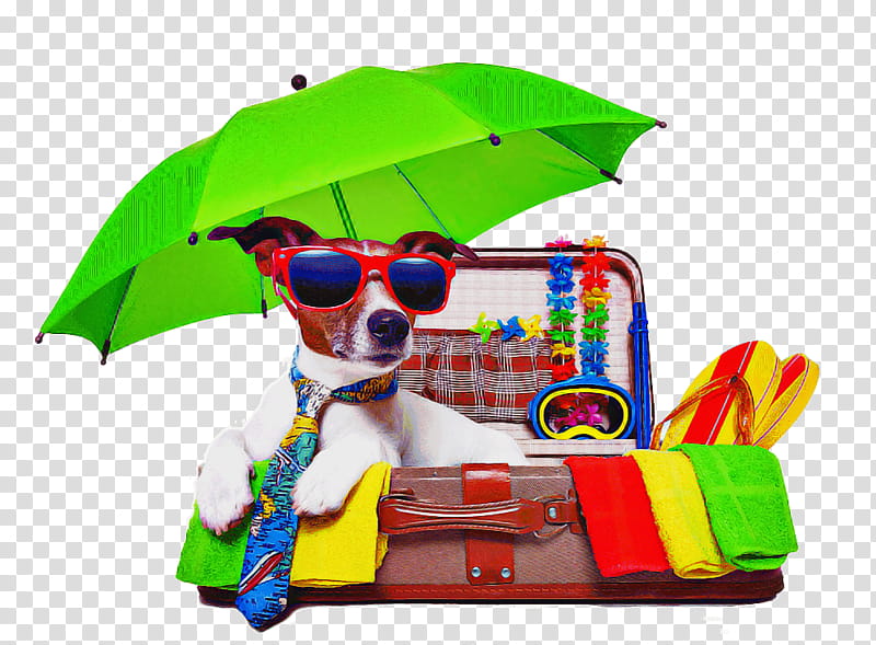 Glasses, Umbrella, Dog, Play transparent background PNG clipart