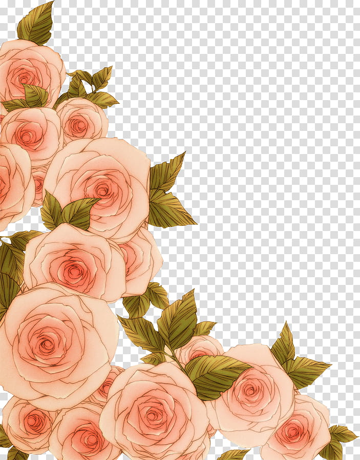 Rosy dream, pink rose transparent background PNG clipart