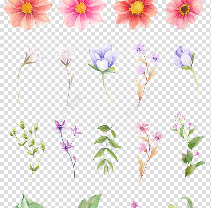 Watercolor Floral, Tattoo, Flower, Temporary Tattoos, Body Art, Floral Design, Painting, Arm transparent background PNG clipart