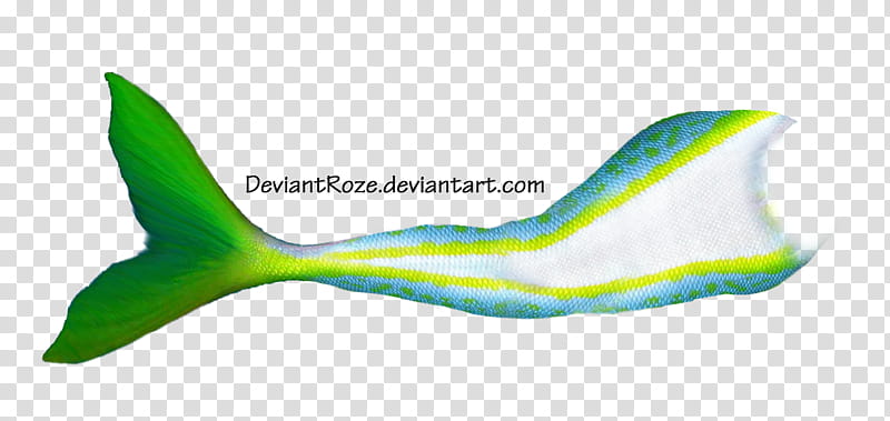 Mermaid Tail  Yellowtail, green and white mermaid tail transparent background PNG clipart