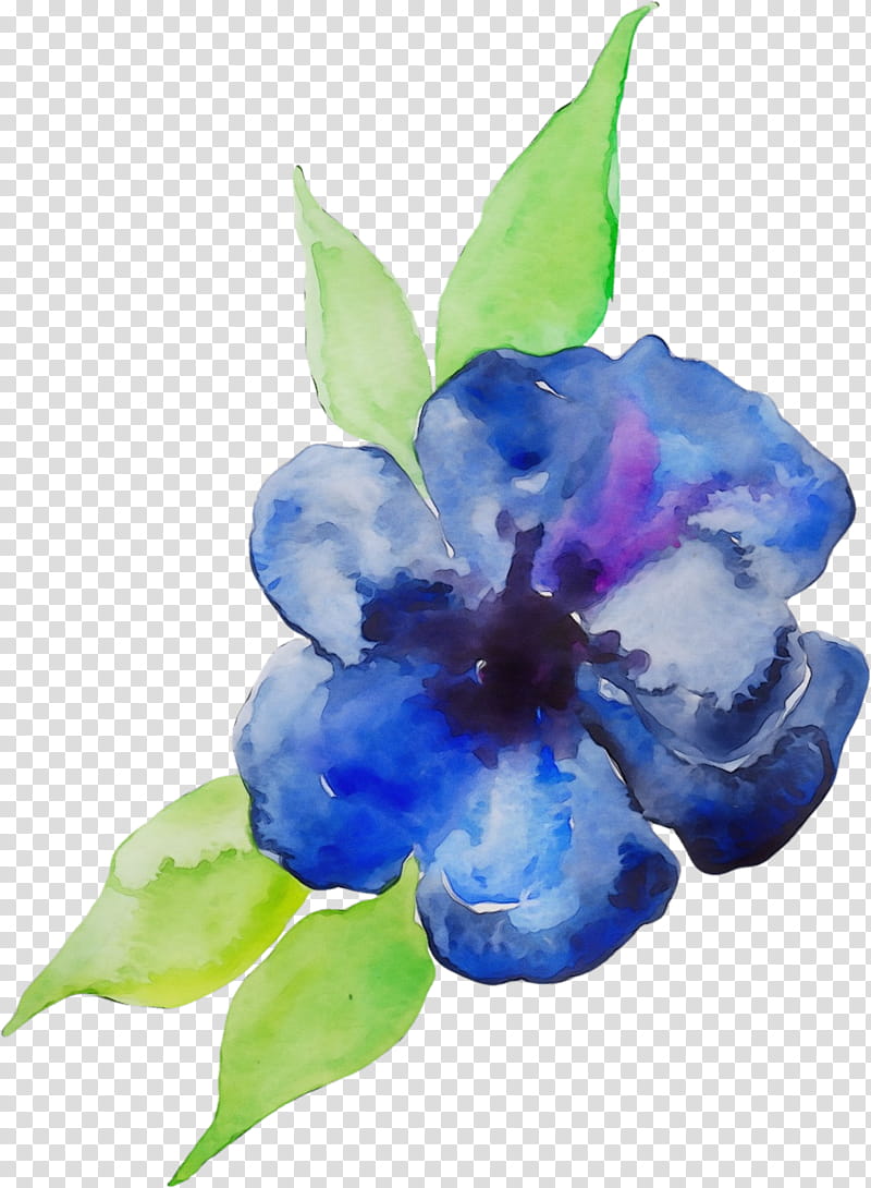Blue Iris Flower, Watercolor, Paint, Wet Ink, Watercolor Painting, Violet, Blue Flower, Blue Rose transparent background PNG clipart