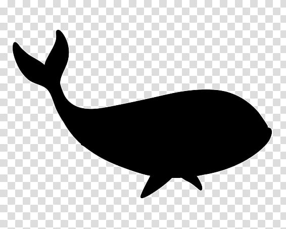 Whale, Porpoise, Black White M, Whales, Line, Dolphin, Cetaceans, Blue Whale transparent background PNG clipart