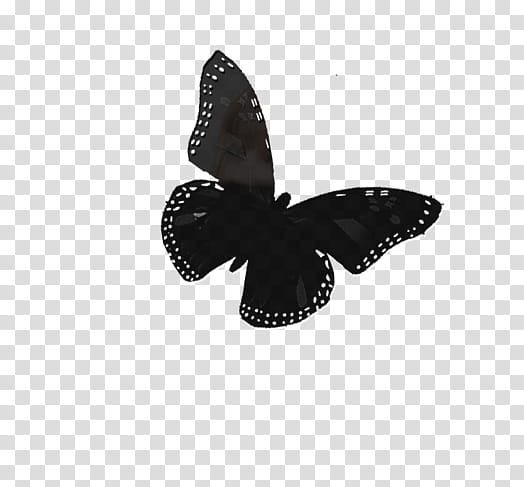 black butterfly transparent background PNG clipart