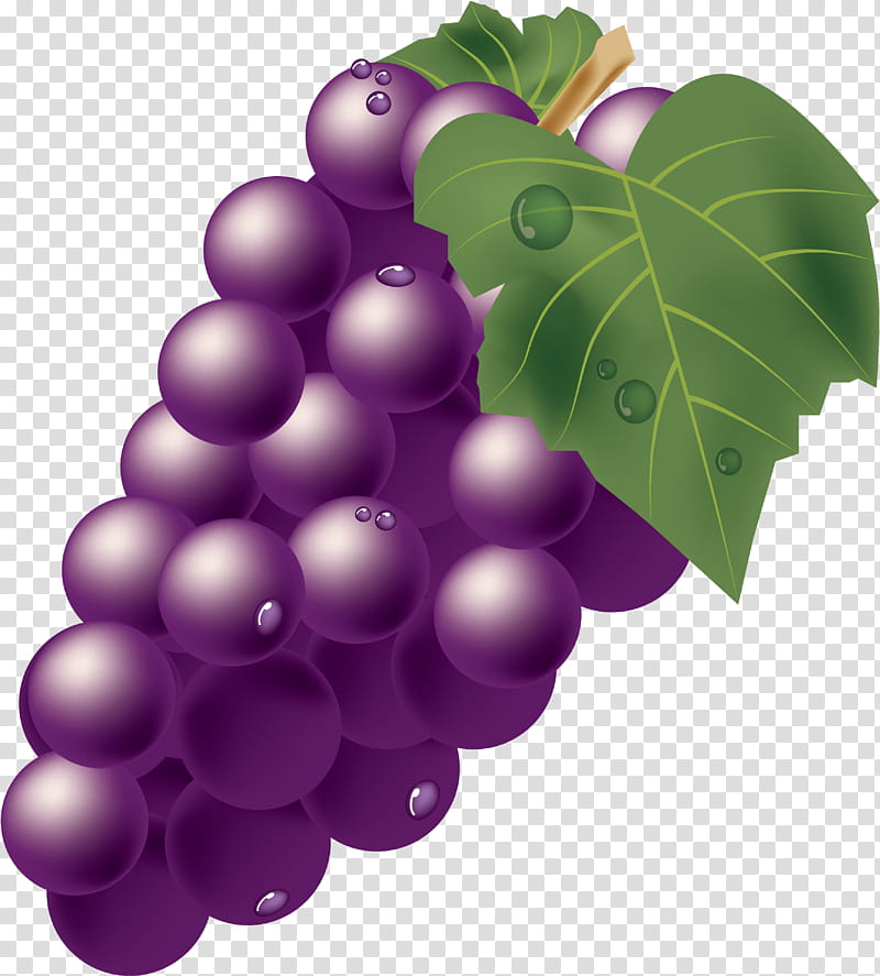 Leaves, Muscat, Grape, Fruit, Kyoho, Pione, Shine Muscat, Grape Leaves transparent background PNG clipart