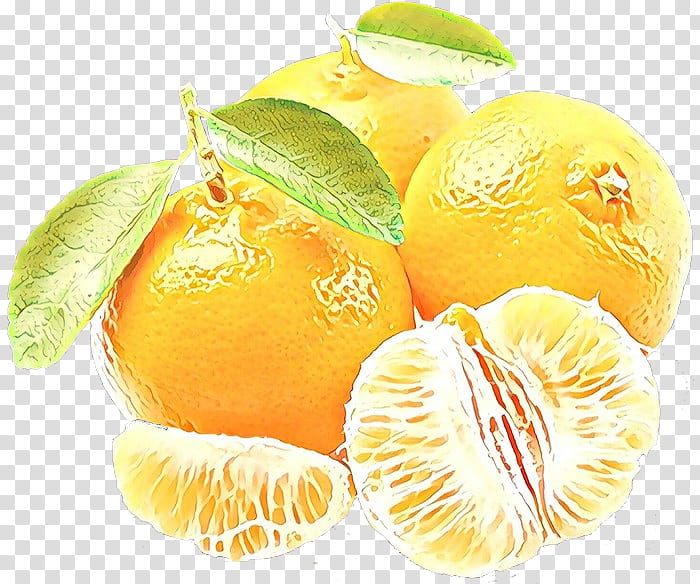 fruit citrus food plant mandarin orange, Cartoon, Sweet Lemon, Citron, Meyer Lemon, Rangpur, Yellow transparent background PNG clipart