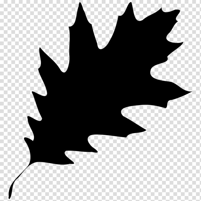 Autumn Leaf Drawing, Black And White
, Maple Leaf, Tree, Blackandwhite, Woody Plant, Plane, Logo transparent background PNG clipart