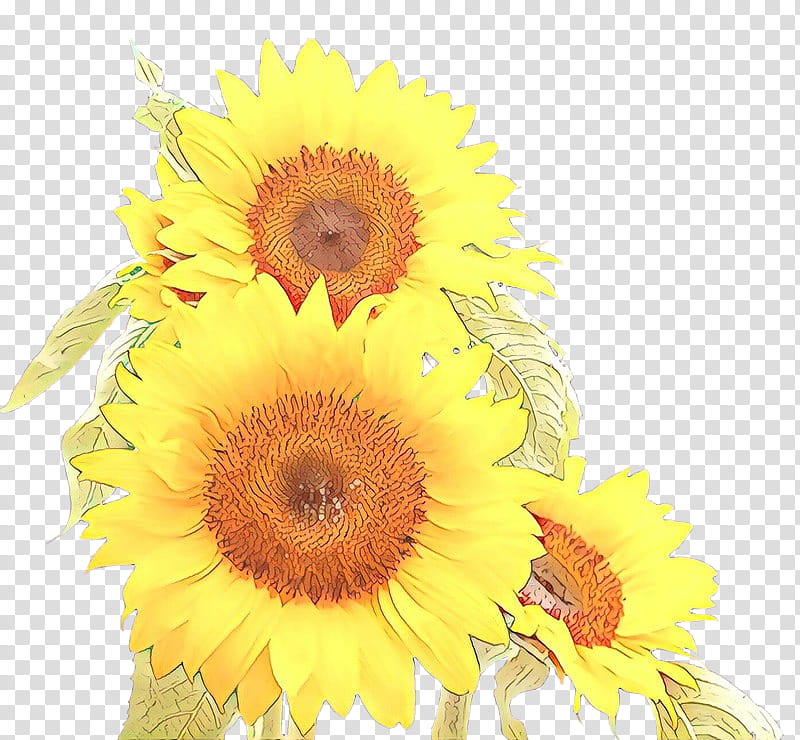 Watercolor Flower, Common Sunflower, Painting, Watercolor Painting, Cut Flowers, Petal, Pot Marigold, Floral Design transparent background PNG clipart