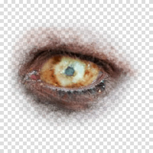 Halloween app Zombie Camera, eye_ transparent background PNG clipart