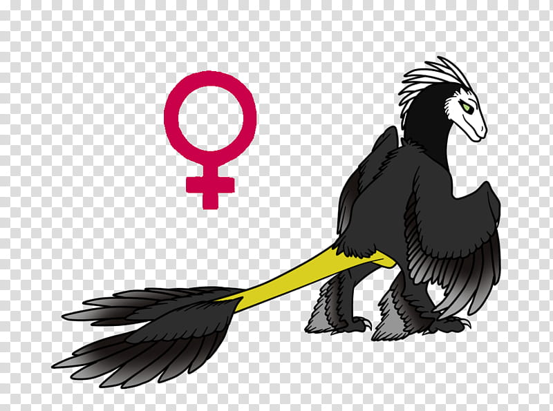 Bird Wing, Beak, Microraptor, Artist, Feather, Bird Of Prey, Flightless Bird, Cartoon transparent background PNG clipart