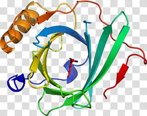 Line, Point, Area transparent background PNG clipart thumbnail