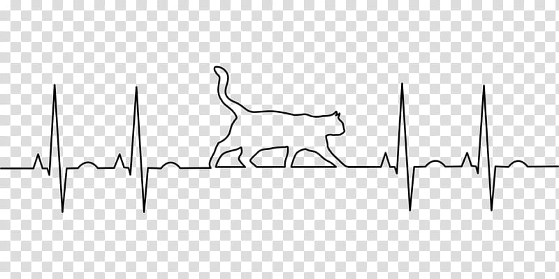 Heart Drawing, Electrocardiography, Pulse, Cat, Anatomy, Cardiovascular Disease, Stethoscope, Heart Rate transparent background PNG clipart
