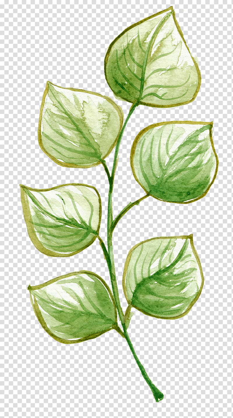 Watercolor Flower, Watercolor Painting, Drawing, Cartoon, Texture, Interior Design Services, Leaf, Plant transparent background PNG clipart