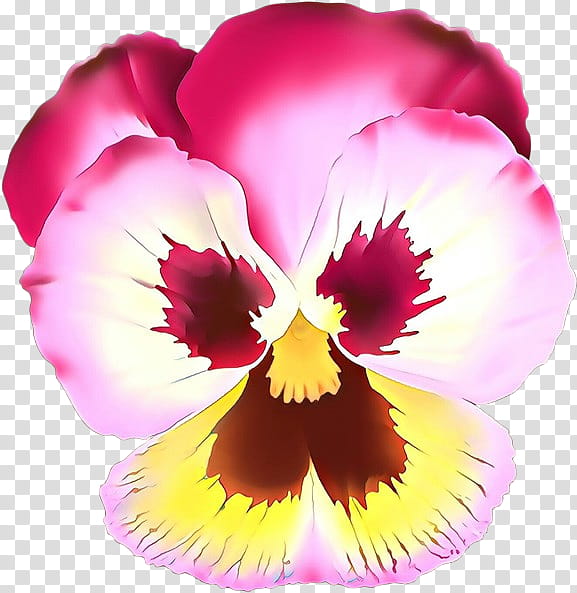 flower petal violet pansy plant, Wild Pansy, Pink, Magenta, Violet Family, VIOLA, Orchid, Cattleya transparent background PNG clipart