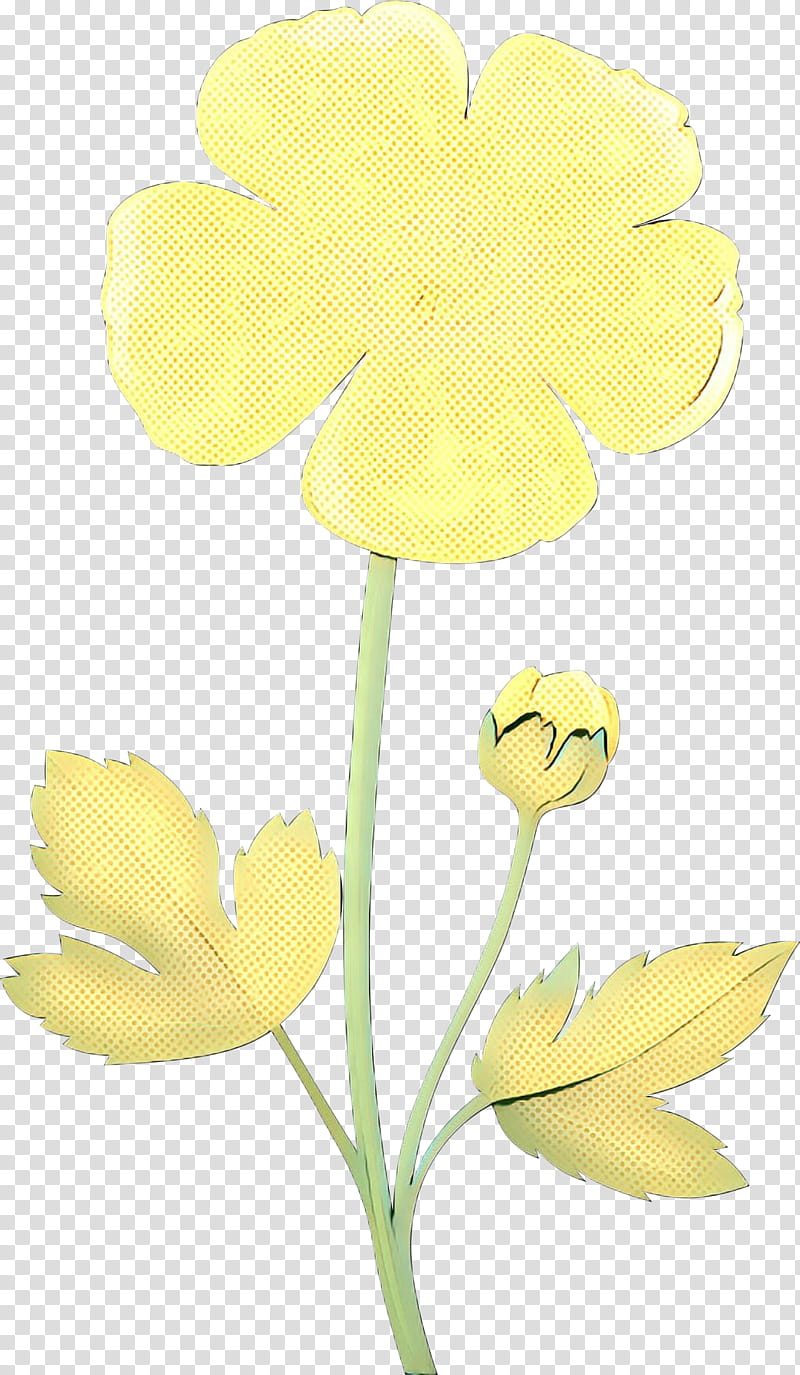 Flowers, Moth Orchids, Cut Flowers, Plant Stem, Yellow, Petal, Plants, Pedicel transparent background PNG clipart