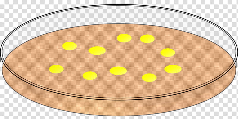 Polka dot, Yellow, Petri Dish, Circle, Food transparent background PNG clipart