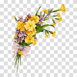 , yellow and purple flowers transparent background PNG clipart