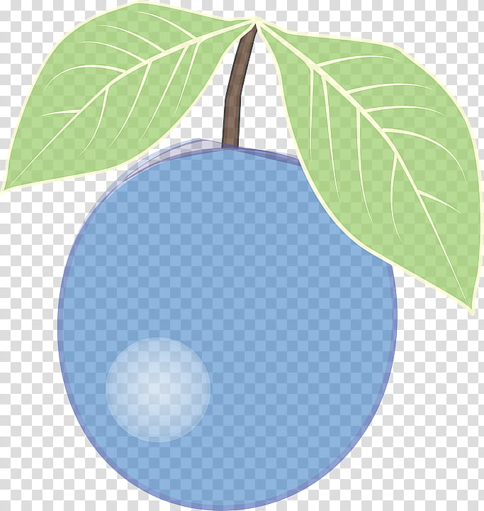 leaf green plant tree branch, Fruit, Circle, Flower, Morning Glory transparent background PNG clipart